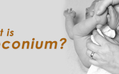 What is meconium?